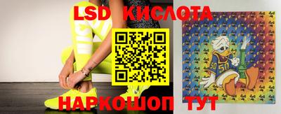 стаф Кулебаки