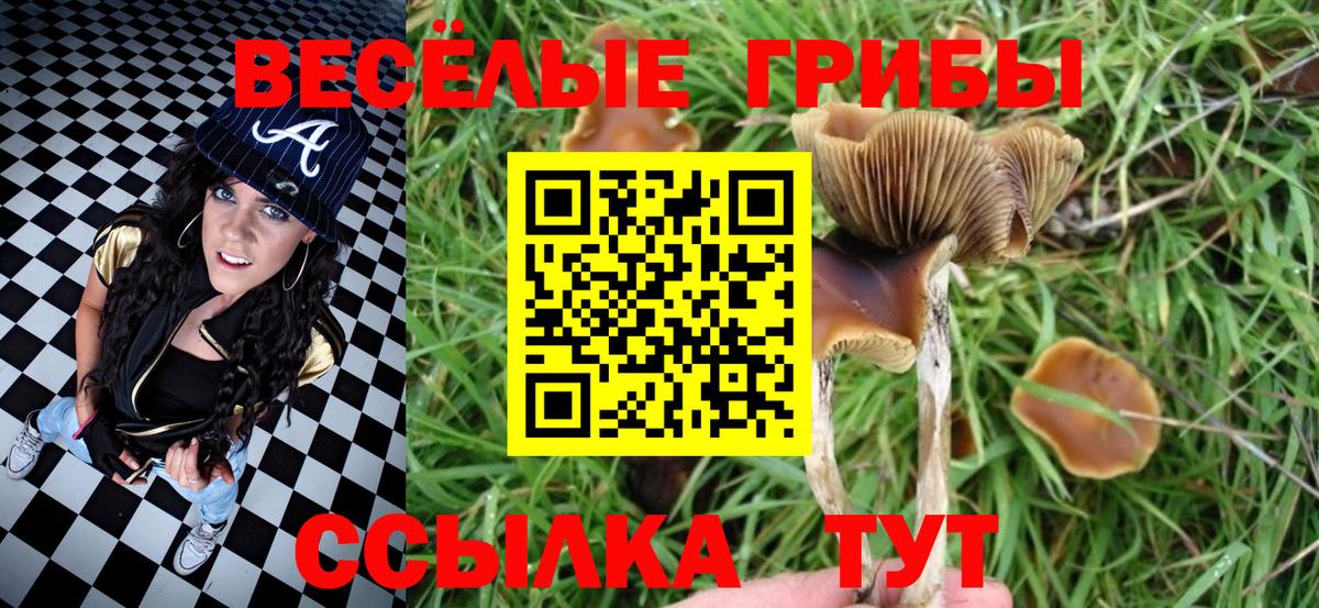 наркошоп  Галлюциногенные грибы MAGIC MUSHROOMS  Вход с VPN  Алапаевск 